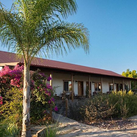 Terra Del Valle Bed & Breakfast Valle de Guadalupe Exterior foto